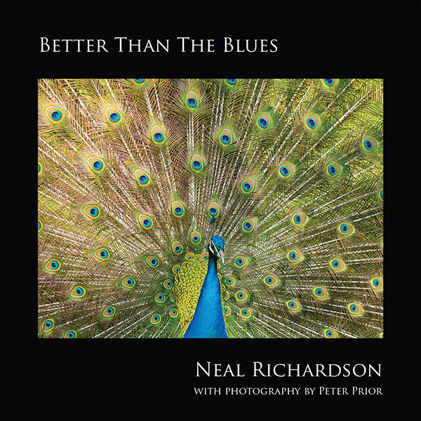 Neal Richardson | Pianist, Vocalist & Songwriter